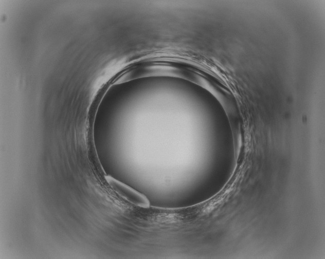 X0000089710152200706211352