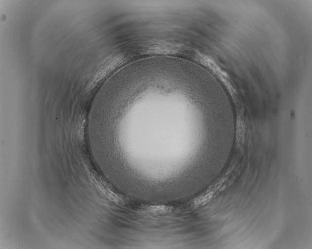 X0000089710153200706211352