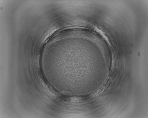 X0000089710154200706211352