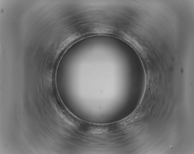 X0000089710155200706211352