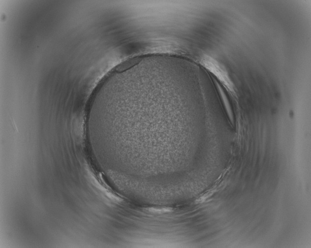 X0000089710156200706211352