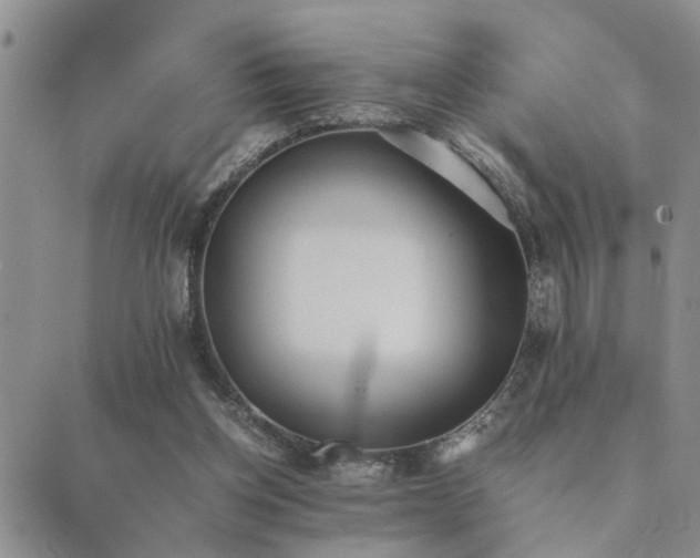 X0000089710158200706211352