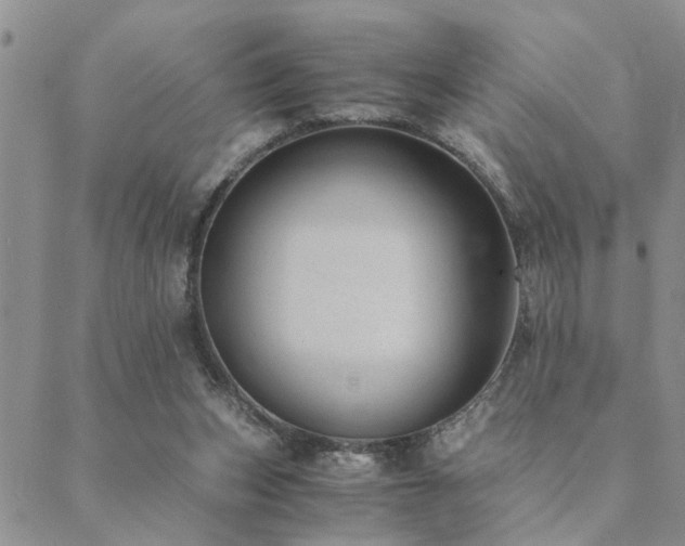 X0000089710159200706211352