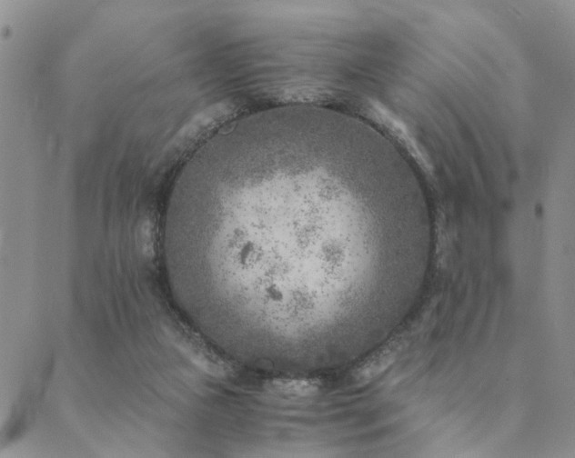 X0000089710161200706211352