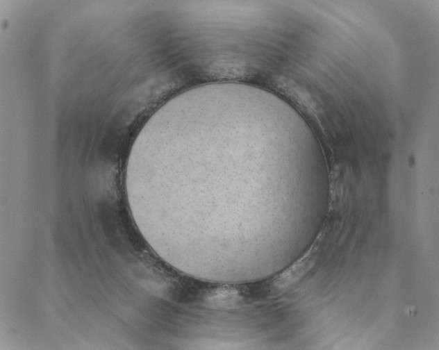 X0000089710162200706211352