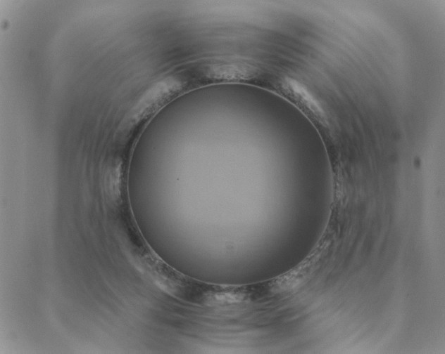 X0000089710163200706211352