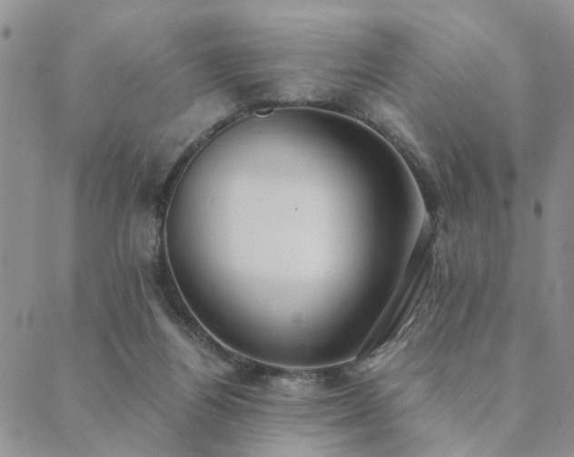 X0000089710164200706211352