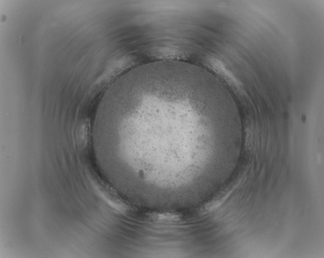 X0000089710165200706211352