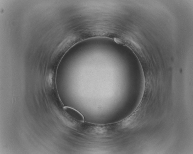 X0000089710166200706211352