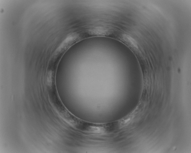 X0000089710167200706211352