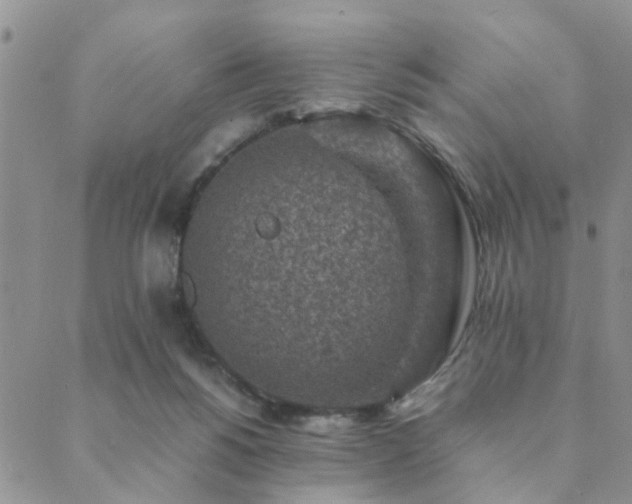 X0000089710168200706211352