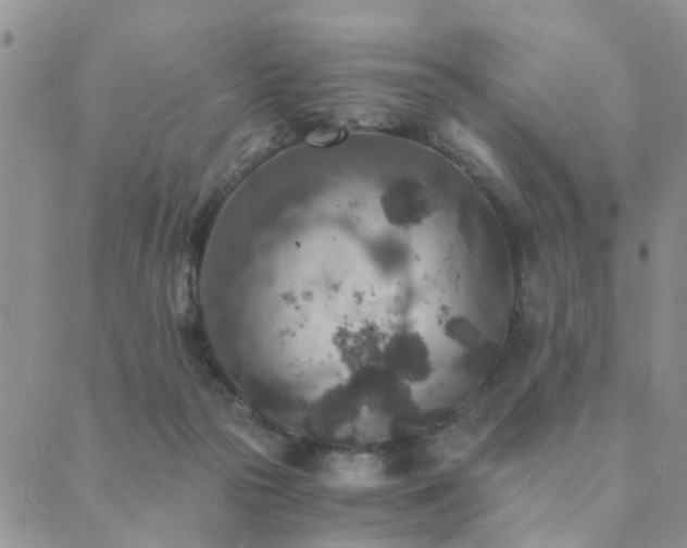 X0000089710169200706211352