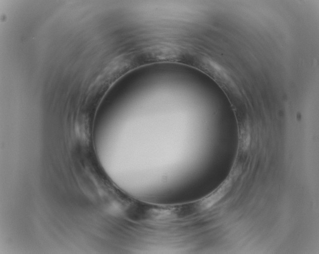 X0000089710170200706211352