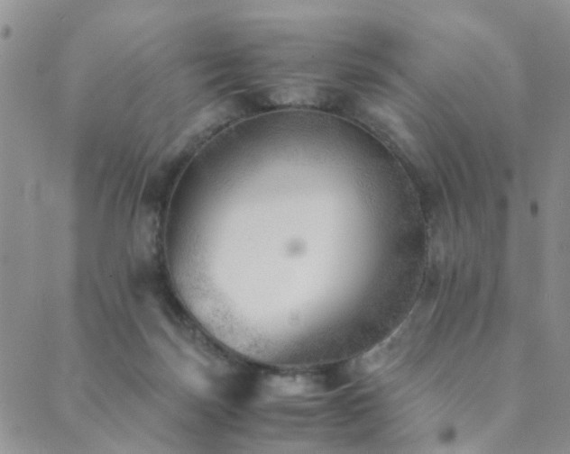 X0000089710171200706211352