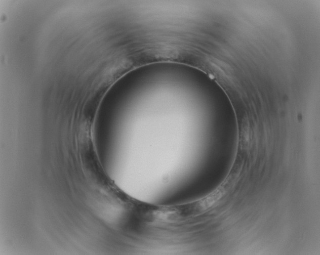 X0000089710172200706211352