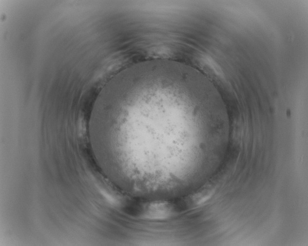 X0000089710173200706211352