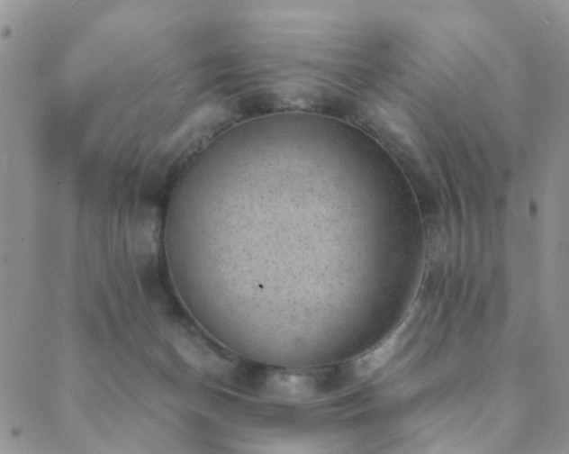 X0000089710174200706211352