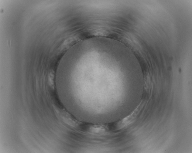 X0000089710175200706211352