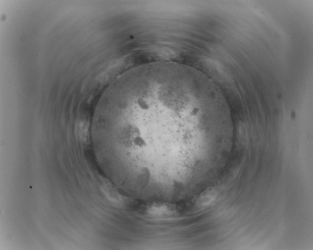 X0000089710177200706211352