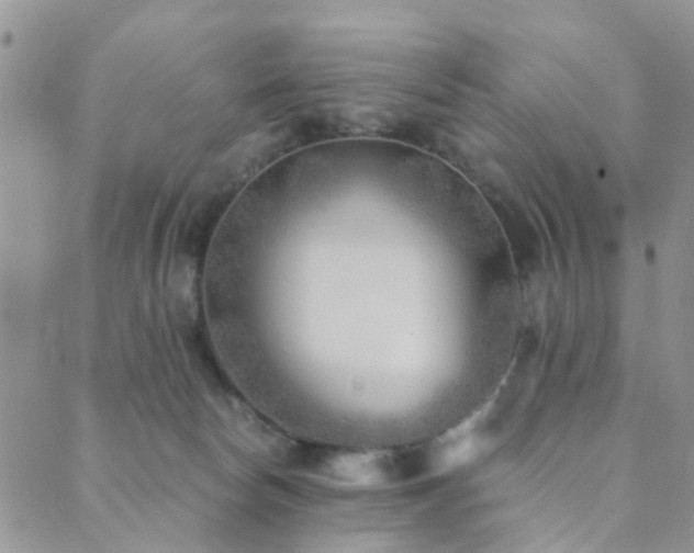 X0000089710178200706211352