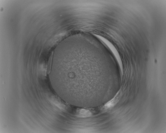 X0000089710180200706211352