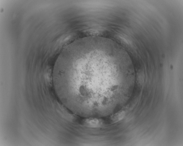 X0000089710181200706211352