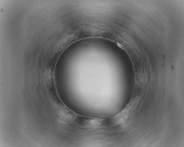 X0000089710184200706211353