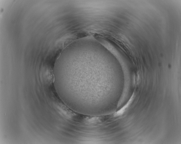 X0000089710186200706211353