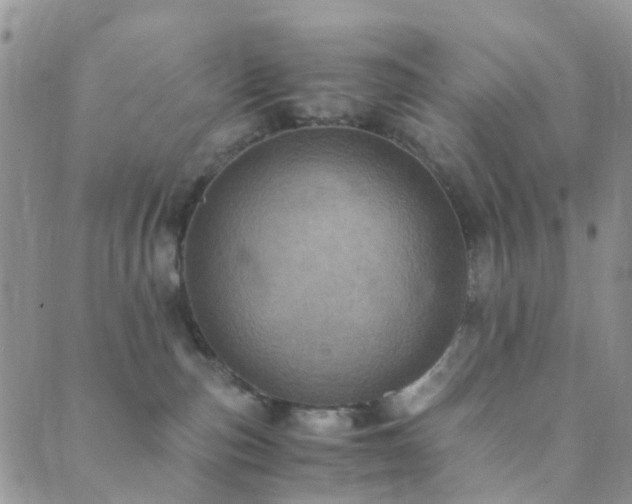 X0000089710187200706211353