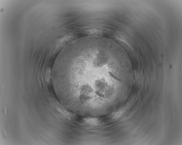 X0000089710189200706211353