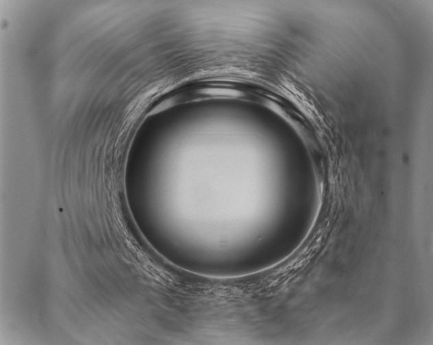 X0000089710193200706211352