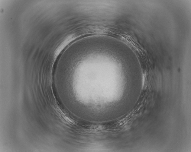 X0000089710195200706211352