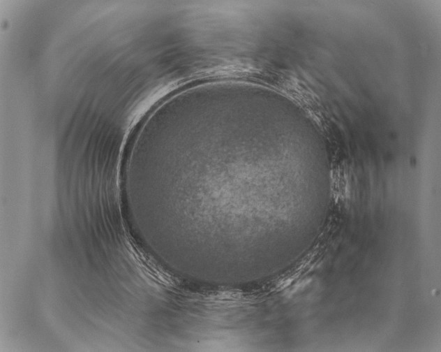 X0000089710196200706211352