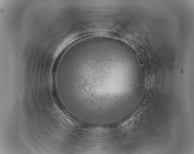 X0000089710198200706211352