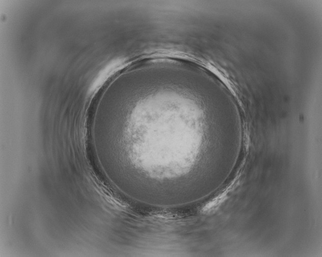 X0000089710199200706211352