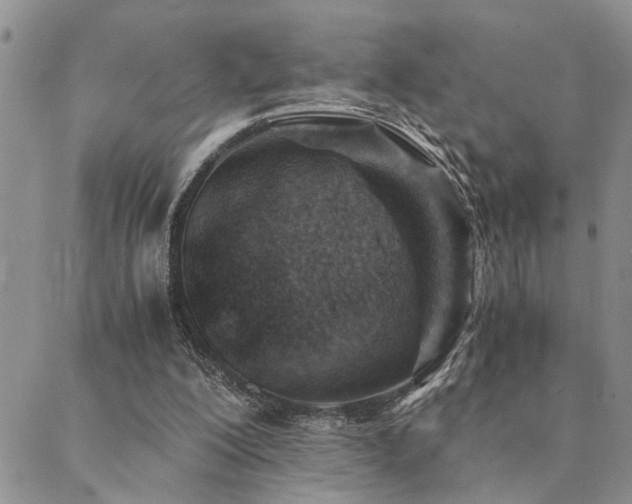 X0000089710200200706211352