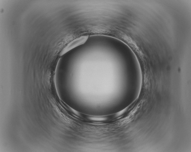 X0000089710201200706211351