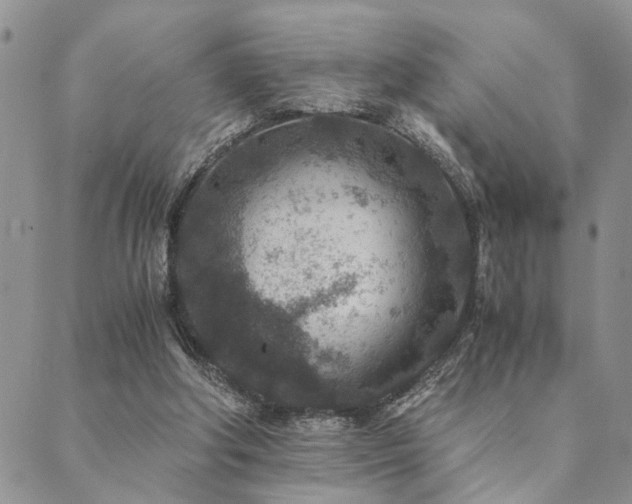 X0000089710202200706211351