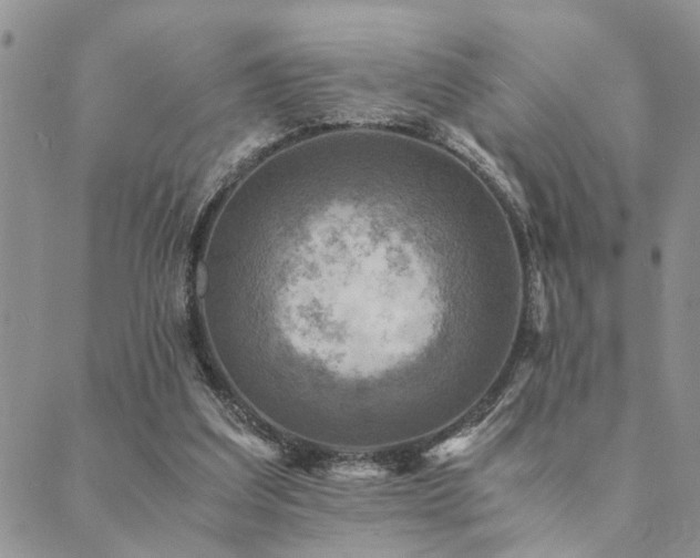 X0000089710203200706211351