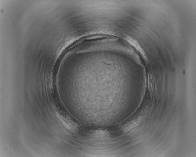 X0000089710204200706211351