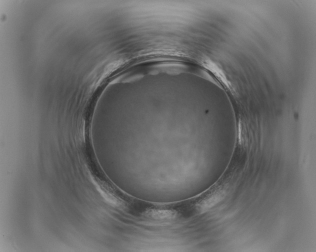 X0000089710205200706211351