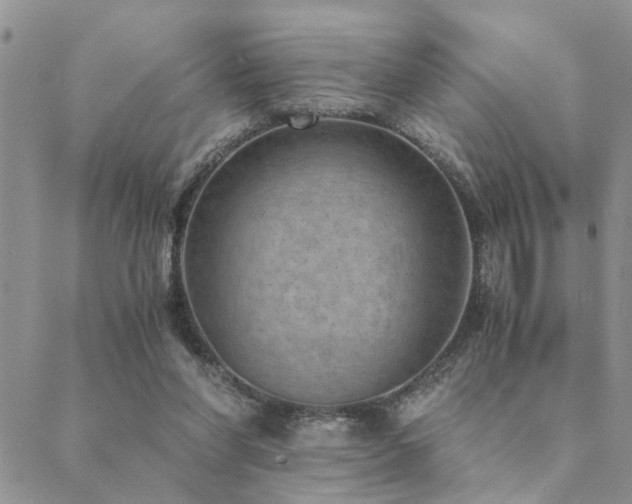 X0000089710206200706211351