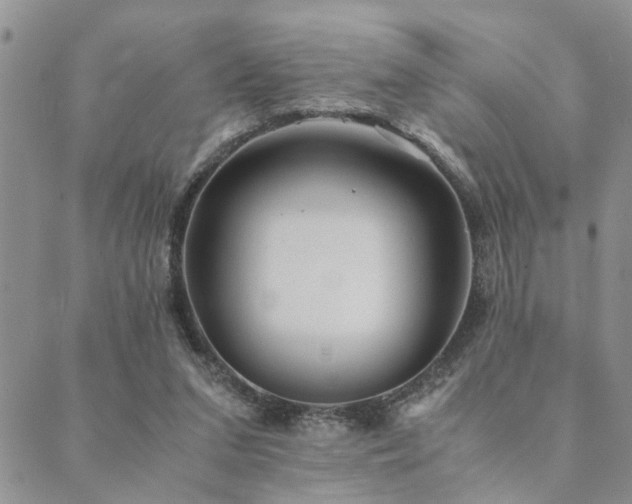 X0000089710207200706211351