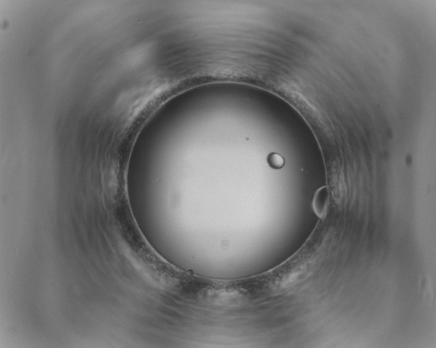 X0000089710208200706211351