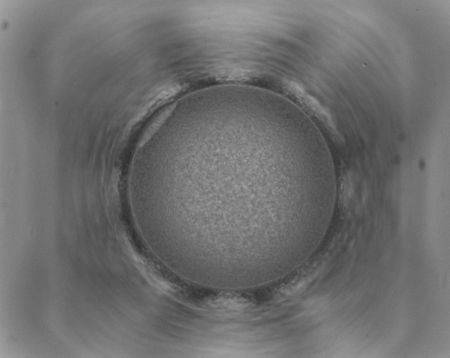 X0000089710209200706211351