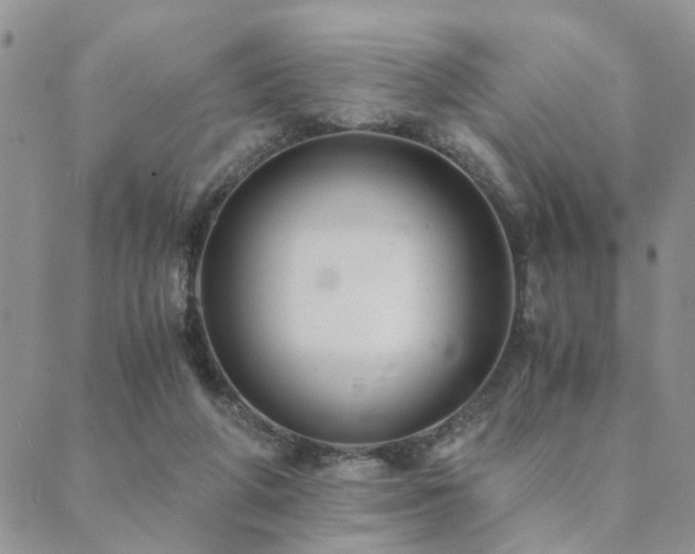 X0000089710210200706211351