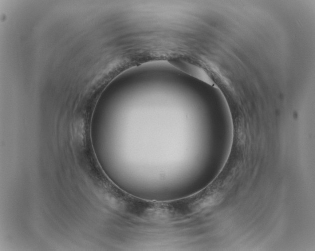 X0000089710211200706211351