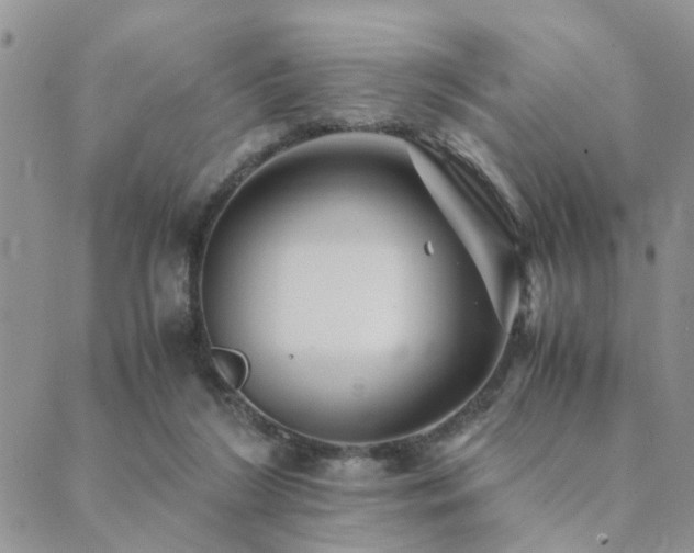 X0000089710212200706211351