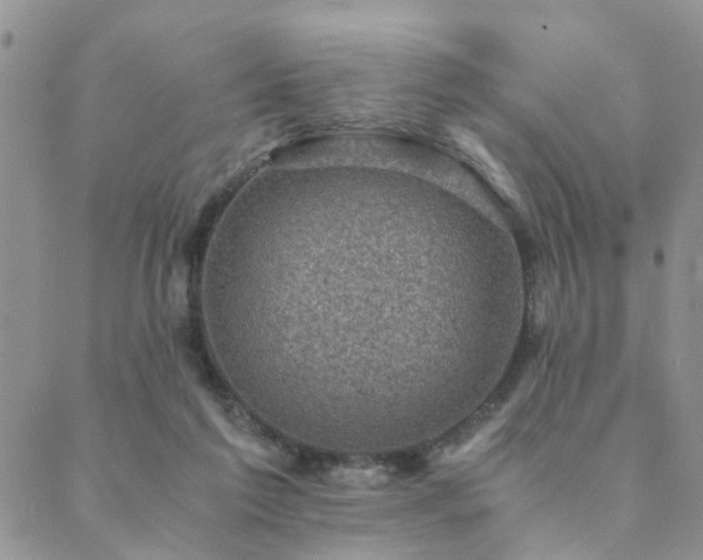 X0000089710213200706211351