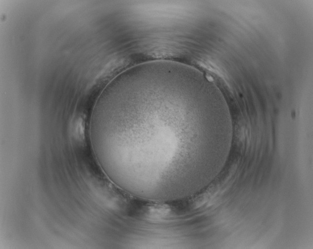 X0000089710214200706211351